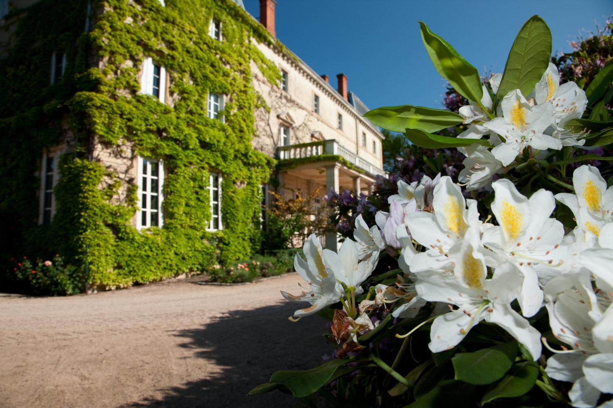 Château de Bellevue B&B Villié-Morgon Exterior foto